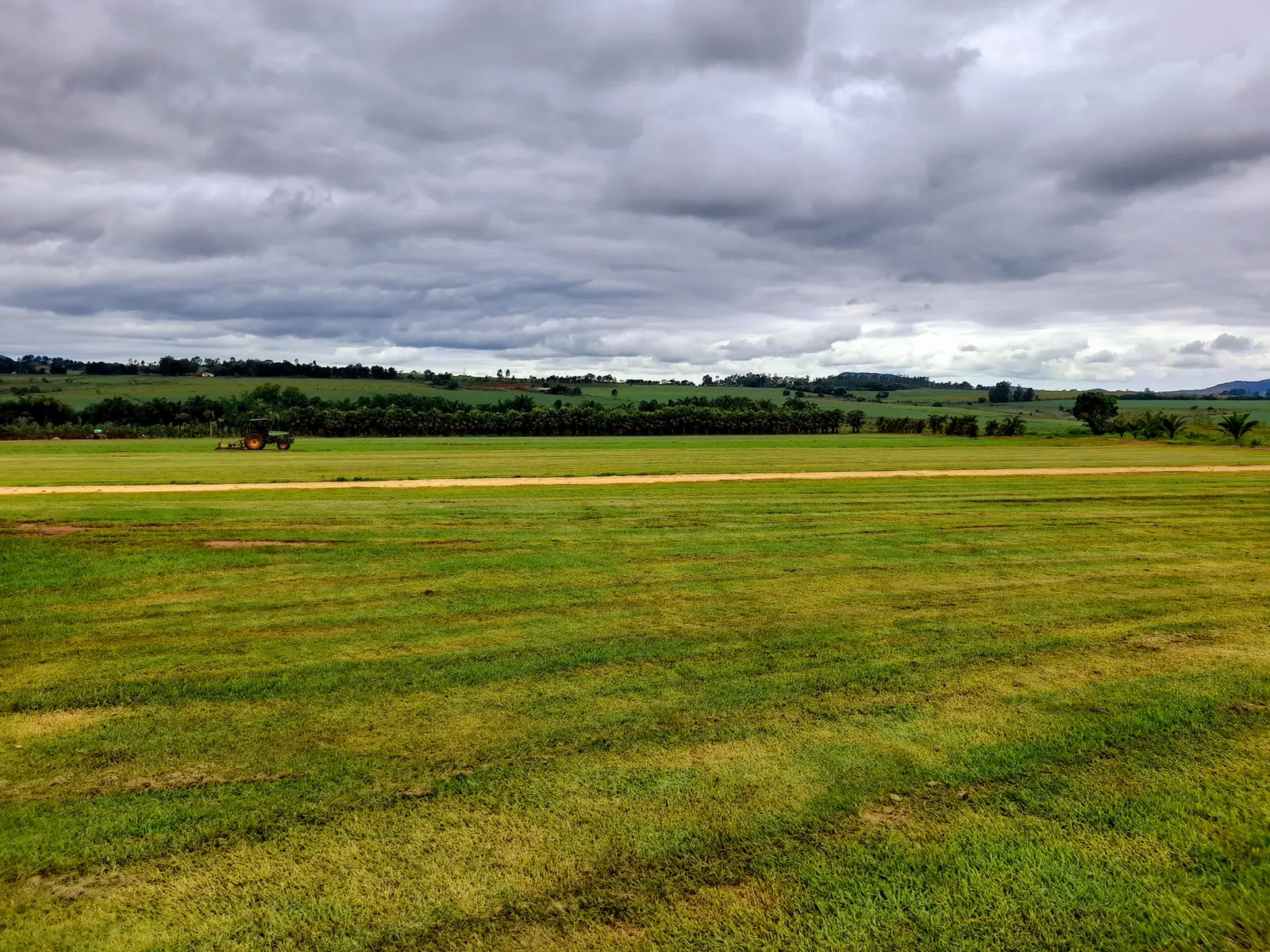 Instant lawn growing at the Swazi Green farm in Malkerns