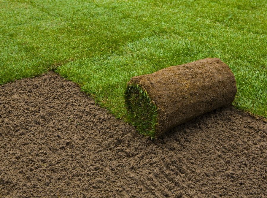 Established instant lawn and garden example from a past project